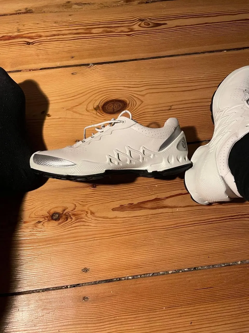 Ecco Biom Aex scarpe uomo outdoor idrorepellenti