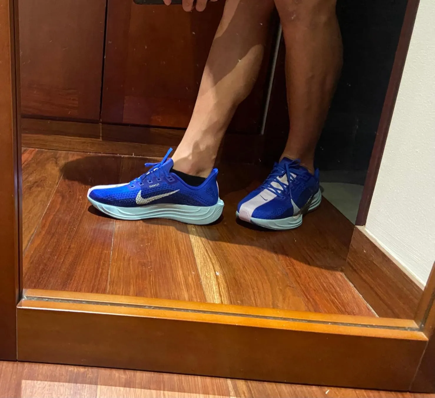 Nike Pegasus Plus scarpe corsa uomo viola nero ZoomX