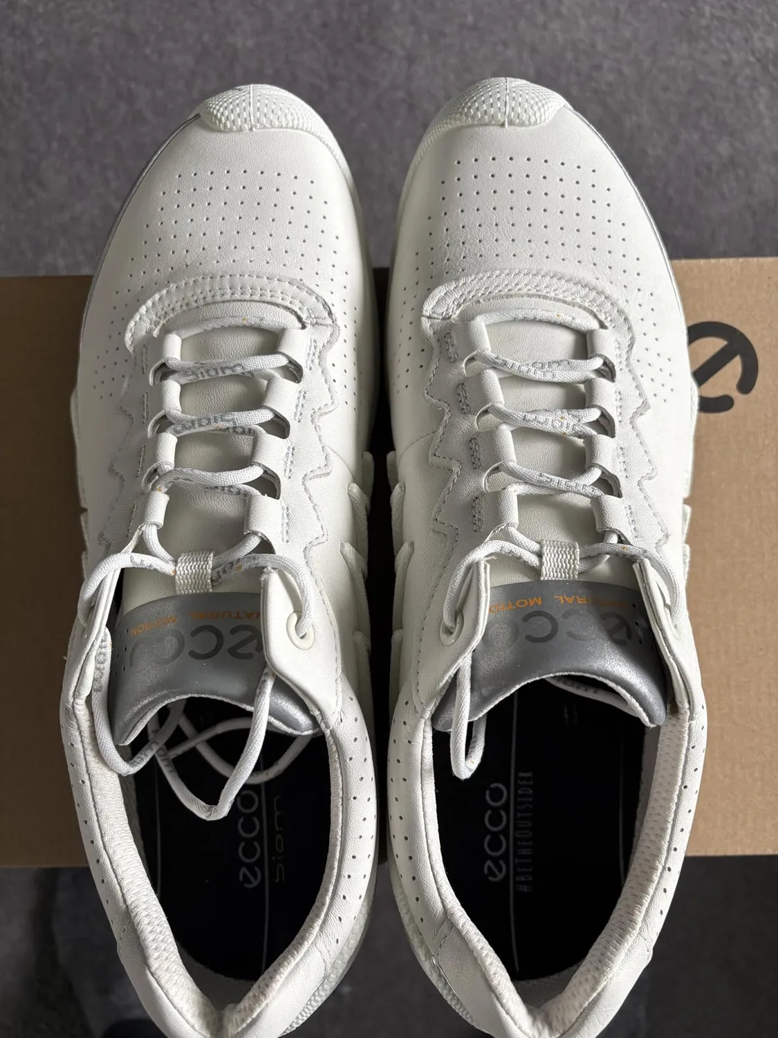 Ecco Biom Aex scarpe uomo outdoor idrorepellenti