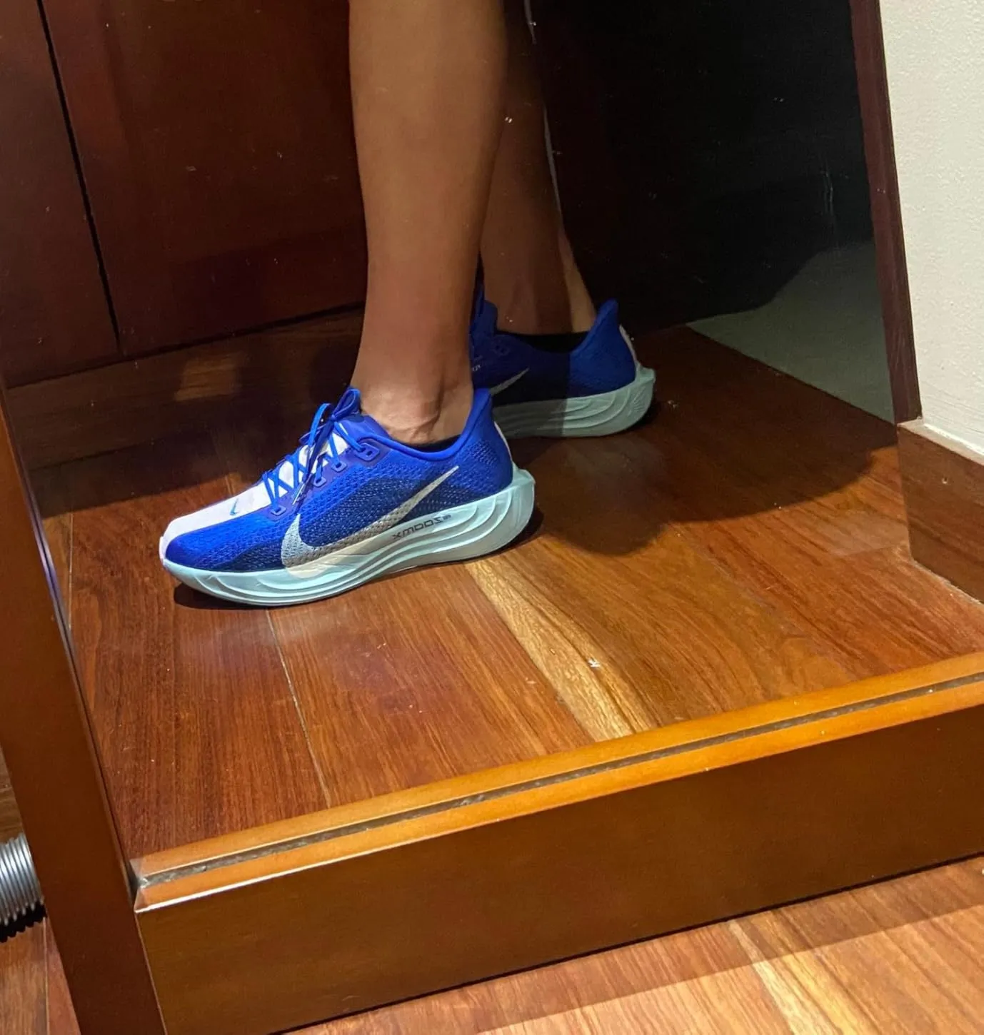 Nike Pegasus Plus scarpe corsa uomo viola nero ZoomX