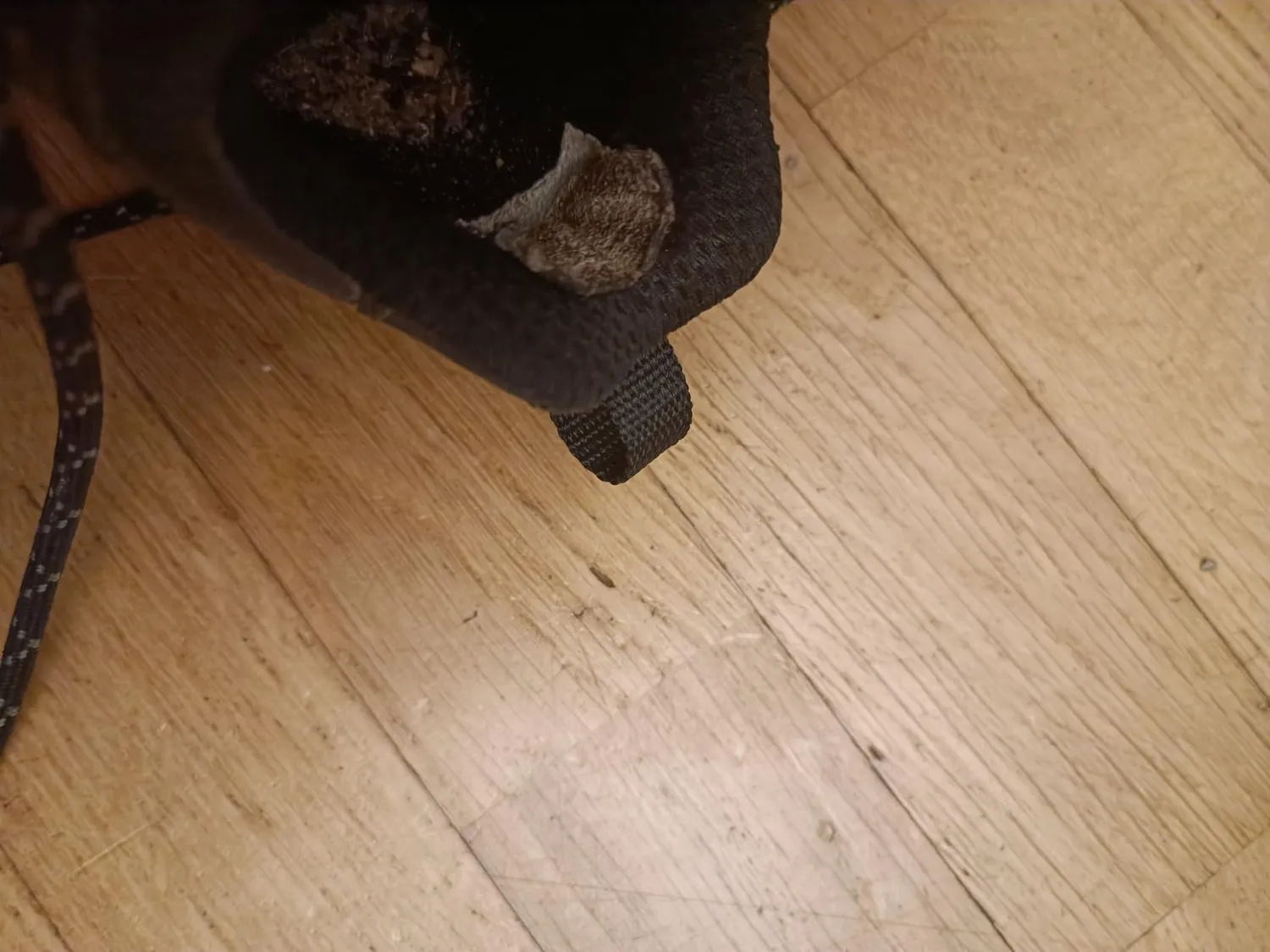 Ecco Xpedition III trekking donna 40 EU gore-tex