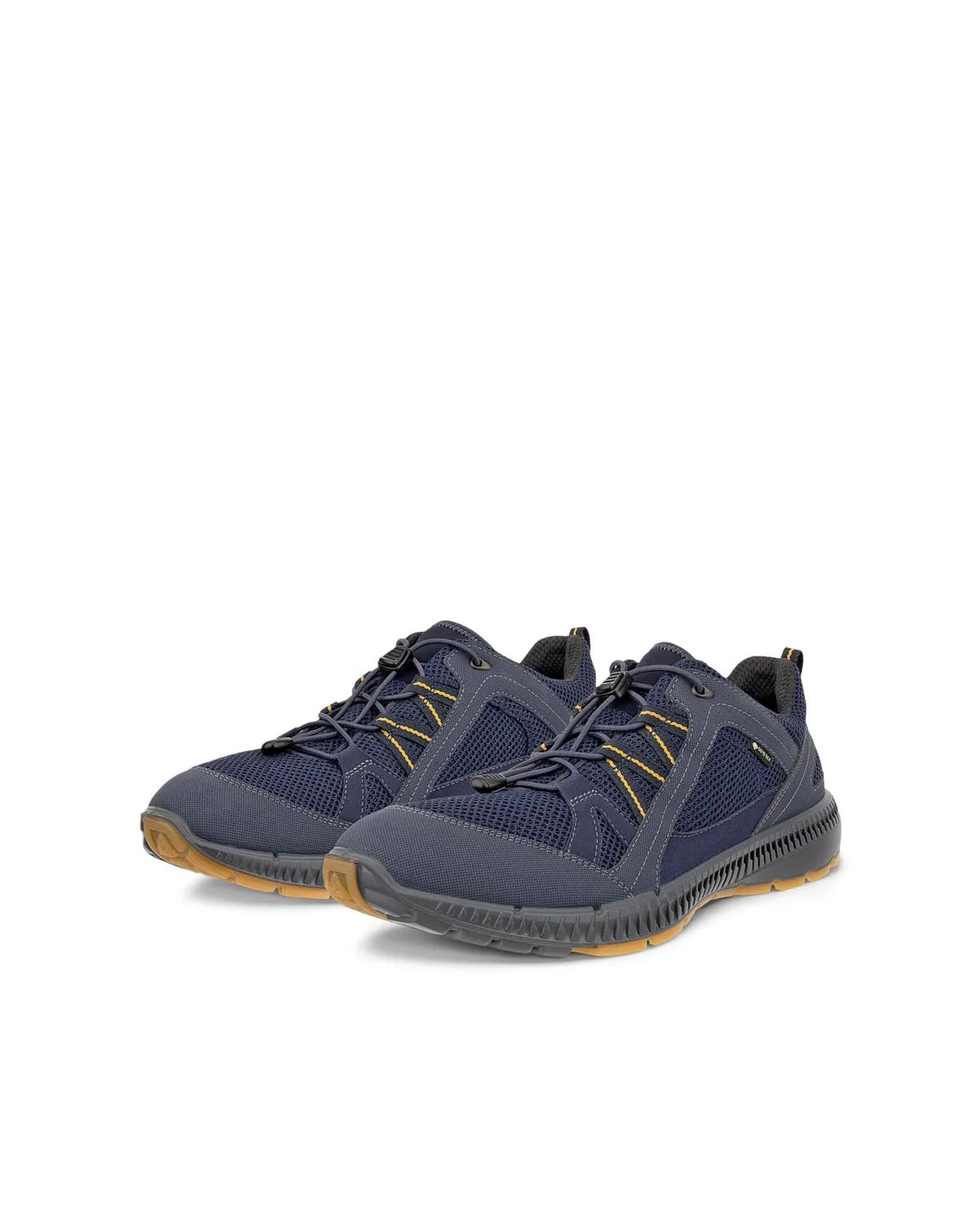 Ecco Terracruise 2 scarpe uomo blu Gore-Tex 43