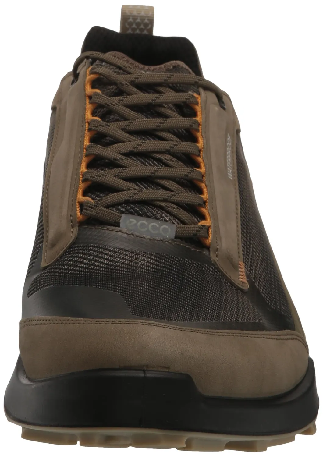 Ecco Biom 2.1 X Mountain scarpe trekking uomo