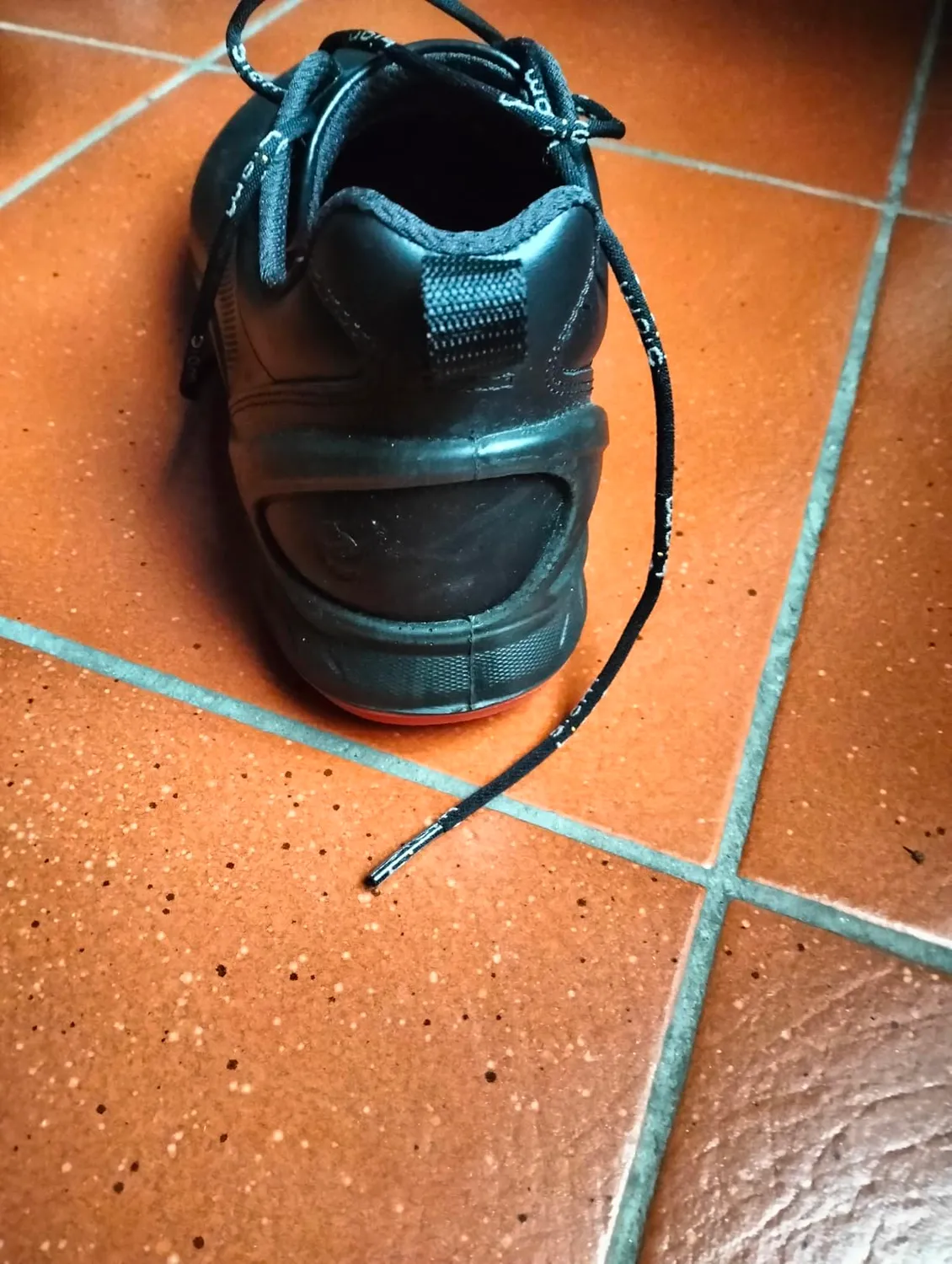 Ecco Biom Fjuel sneakers uomo blu 43 EU walking