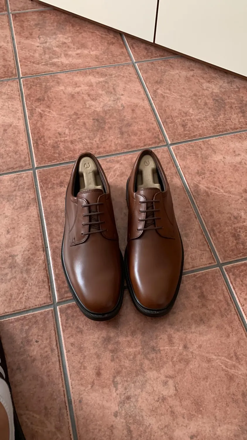 Ecco Maitland derby uomo 43 EU idrorepellente