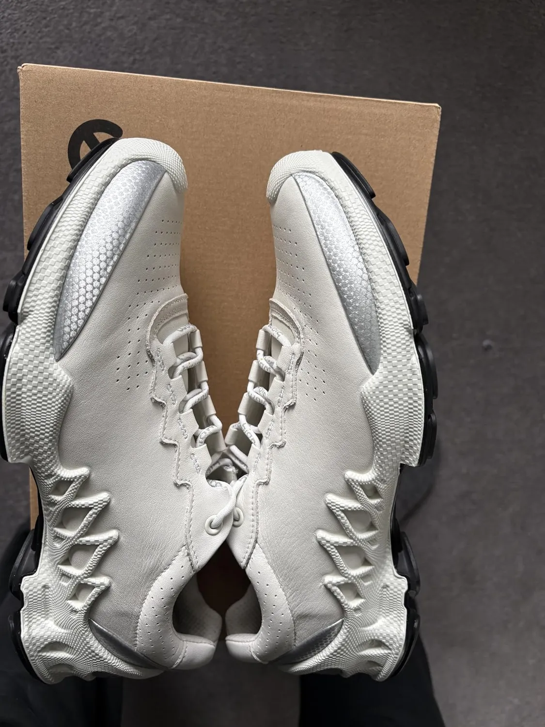 Ecco Biom Aex scarpe uomo outdoor idrorepellenti