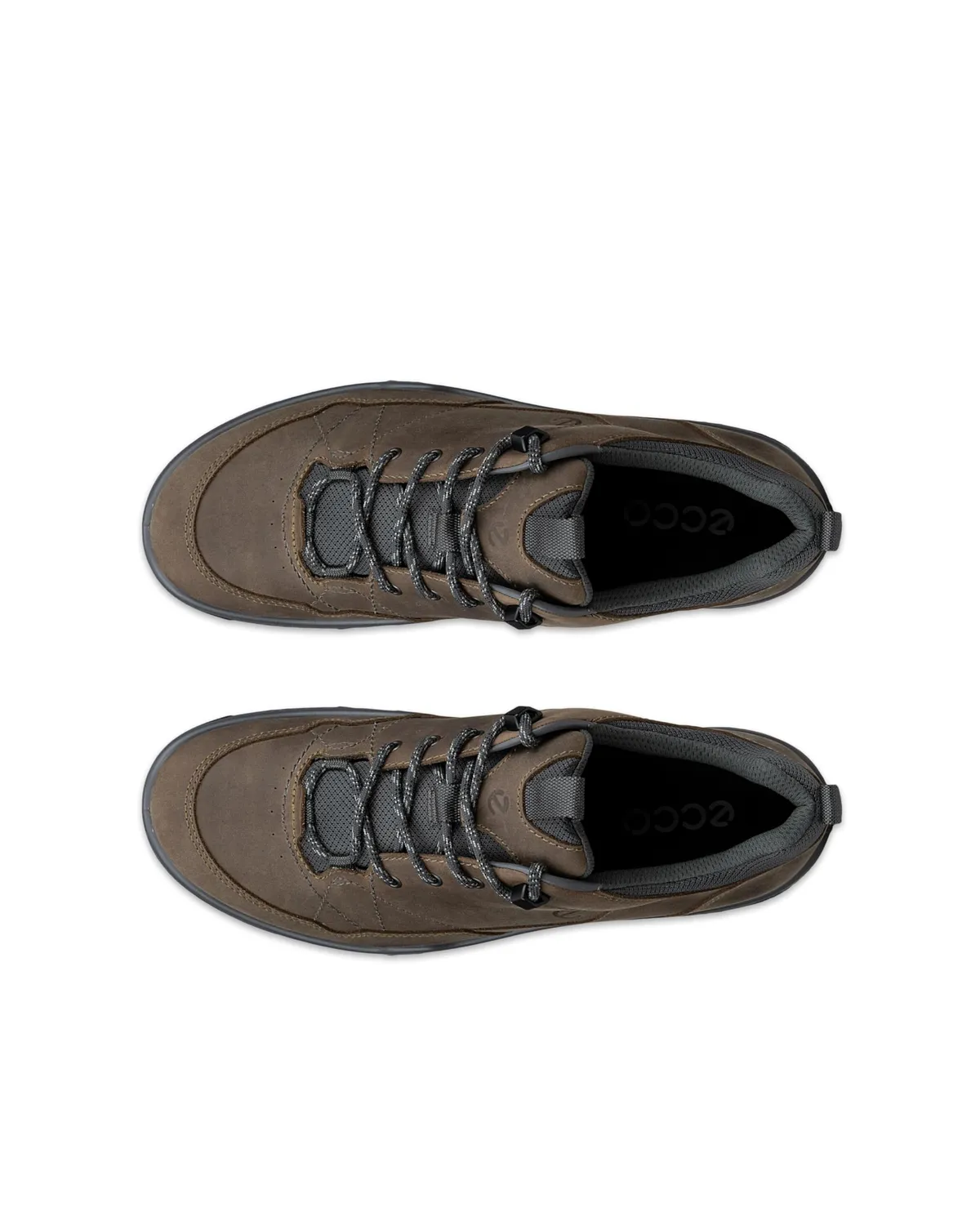Ecco Receptor Trekk scarpe hiking marroni uomo 43 EU