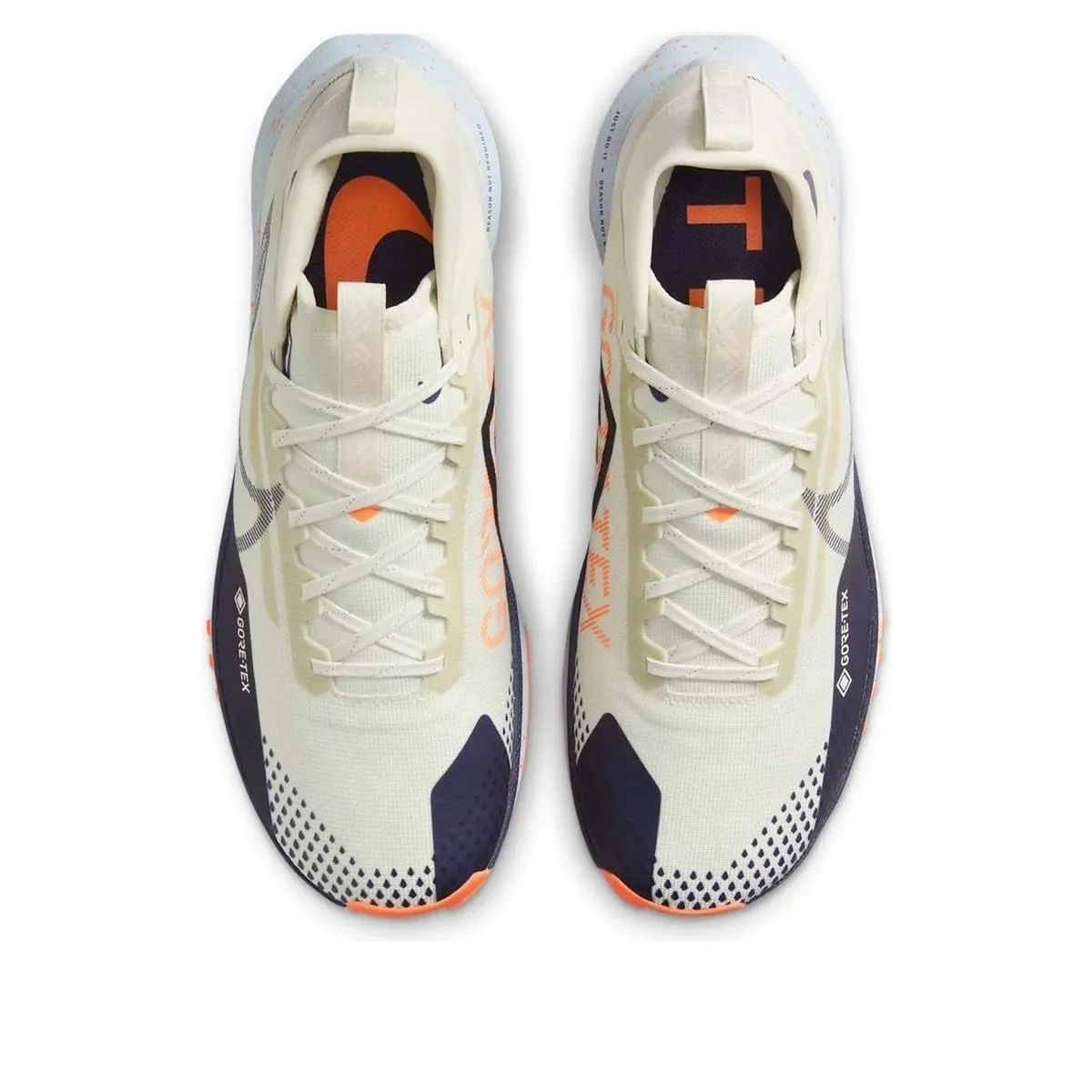 Nike Pegasus Trail 4 GTX scarpe trail uomo Gore-Tex