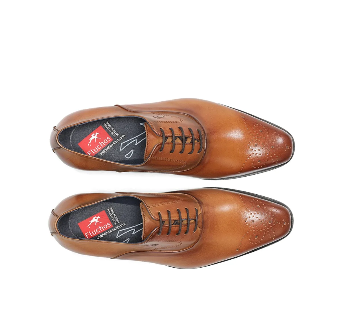 Fluchos Cesar F0404 scarpe marroni uomo cerimonia