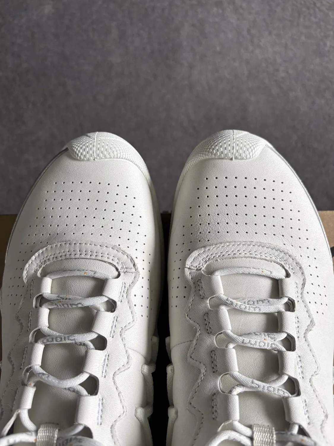 Ecco Biom Aex scarpe uomo outdoor idrorepellenti