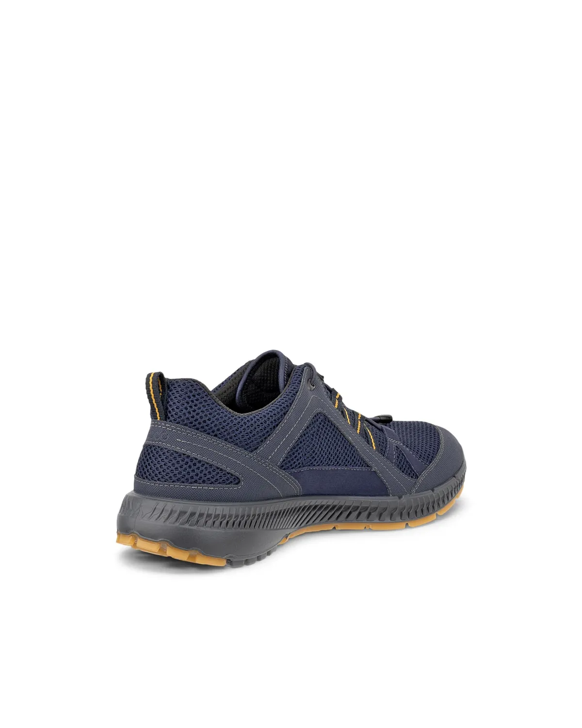 Ecco Terracruise 2 scarpe uomo blu Gore-Tex 43