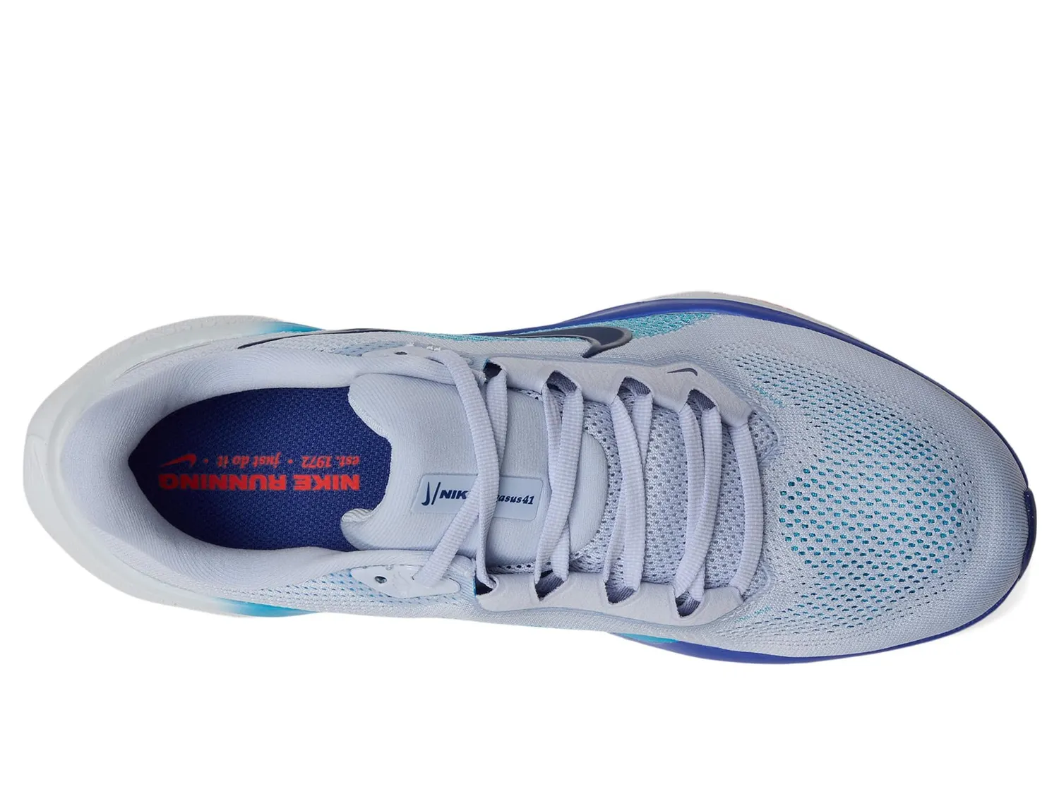 Nike Pegasus 41 scarpe corsa uomo strada